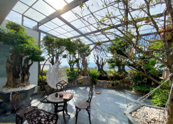 Cải tạo sân thượng thành vườn ĐẸP MÊ LY  tạo không gian xanh mát