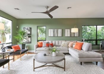 Top 5 loại cây để phòng khách cho tiền vào như nước