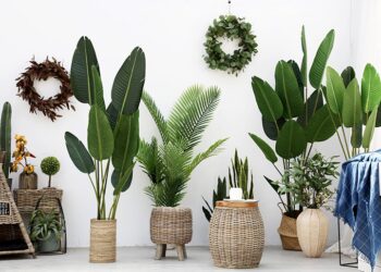 [ HỎI ĐÁP ] Có nên sử dụng cây cảnh giả không?