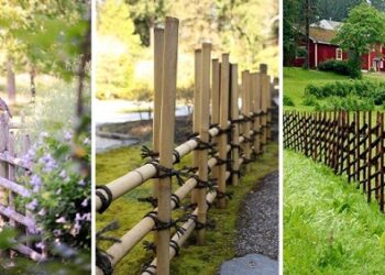 Cách thiết kế hàng rào sân vườn chuẩn phong thuỷ