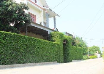 Những điều cần chú ý khi thiết kế hàng rào sân vườn cho gia đình