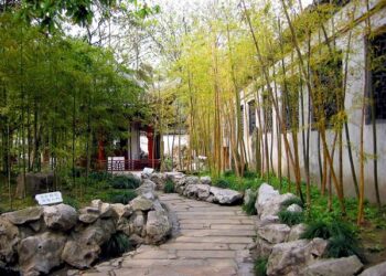 Hướng dẫn cách bố trí sân vườn trước nhà đẹp – TOP sân vườn đẹp mắt