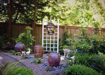 Những mẫu thiết kế cây cảnh sân vườn mà bạn không nên bỏ qua