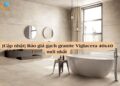 gach granite viglacera 40x40